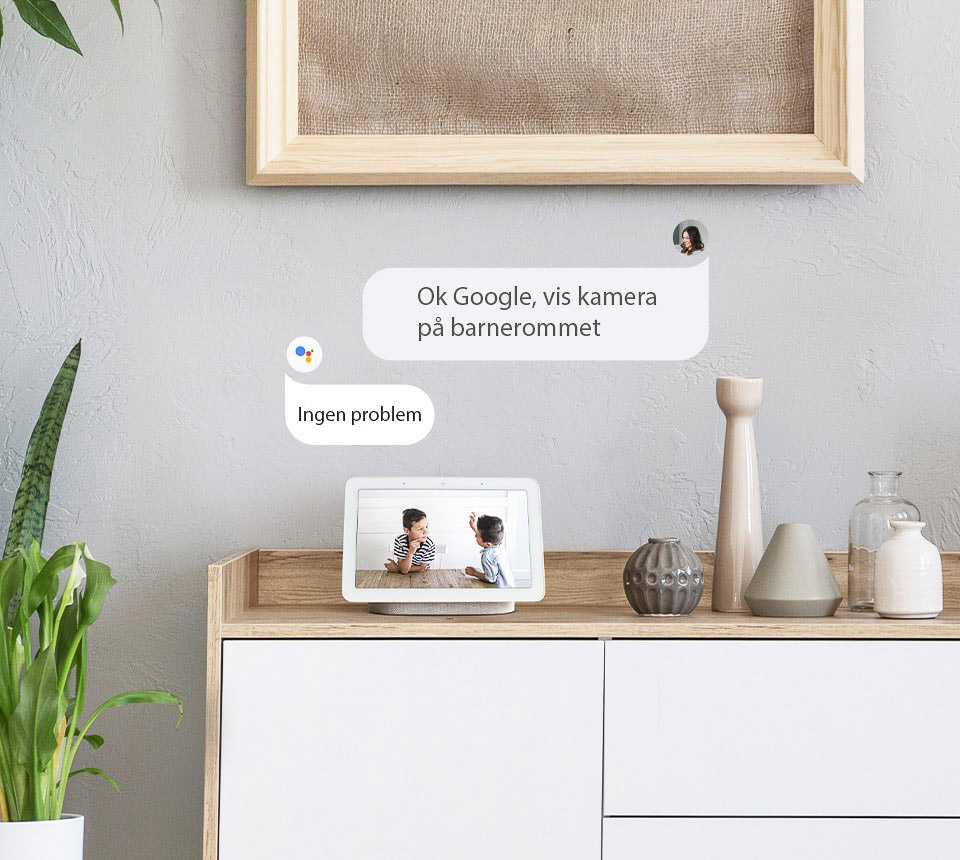 Google Home kompatibelt