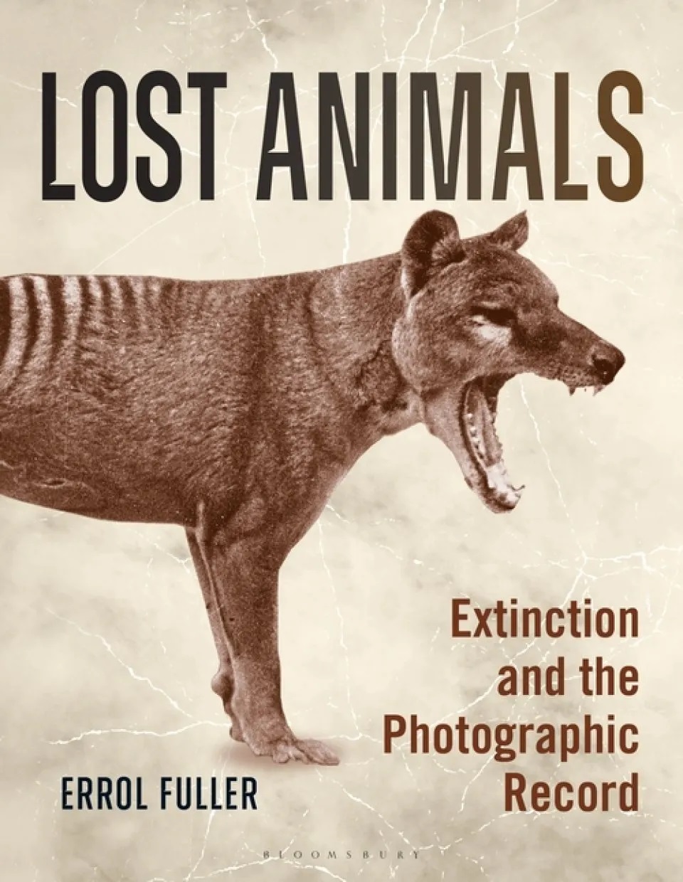 Анимал лост. Объявление Lost animals. Лост животные. Extinct animals перевод.