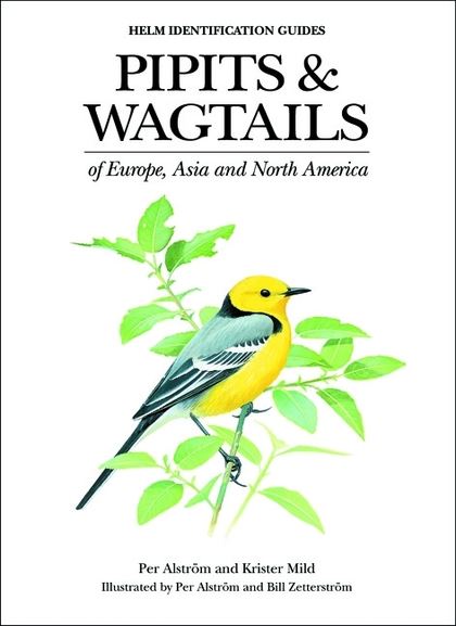 Pipits and Wagtails of Europe, Asia and North America 