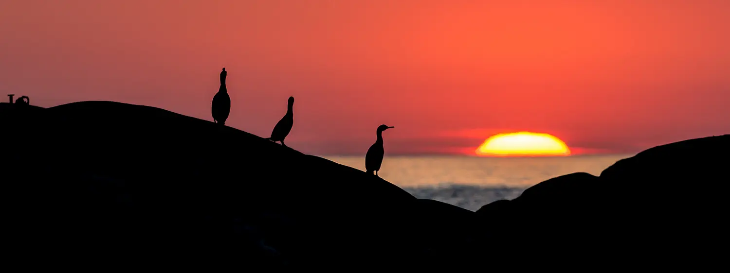 Illustrasjonsfoto til teleskopguiden fra natur og Fritid