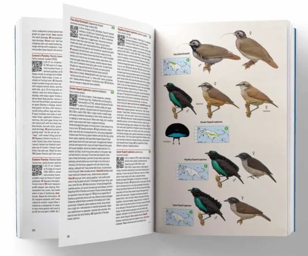 Birds of New Guinea - 2nd Edition