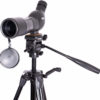 Focus Hawk 15-45x60 + Tripod 3950 - Teleskop m/skrå innsikt, med stativ