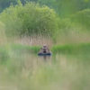 Grebe flyteskjul - Flytende kamuflasjetelt