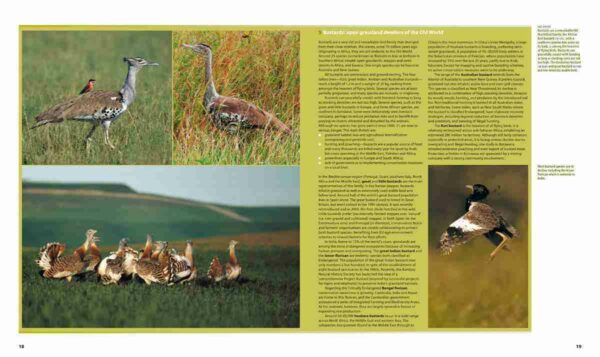 Farmland Birds across the World