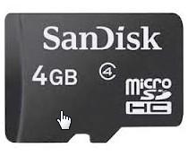 Garmin 4 GB microSD™ card with SD™ adapter