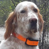 Nordic Tracker NT Hunter GPS hundetracker