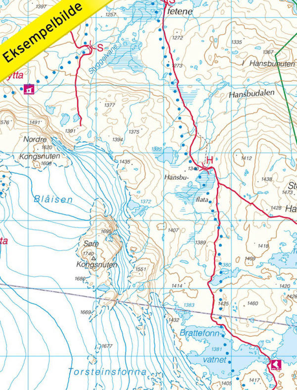 Rallarvegen 1:50 000 - Turkart - Lnr 2744