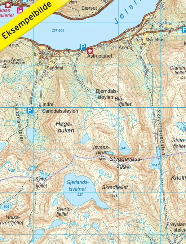 Indre Sunnfjord - Turkart - Lnr 2481