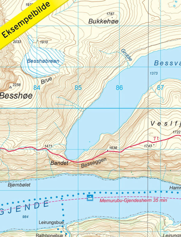 Jotunheimen Aust - Turkart - Lnr 2503