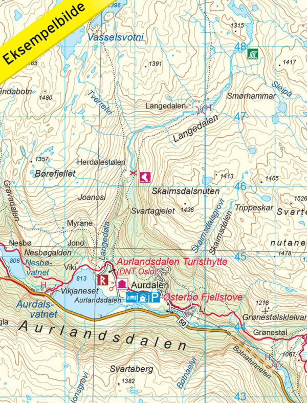 Aurlandsdalen - Turkart - Lnr 2565