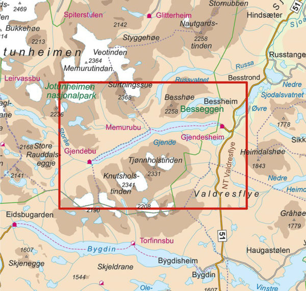 Besseggen med Bukkelægret DNT uten fjellskygge - Turkart - Lnr 2649