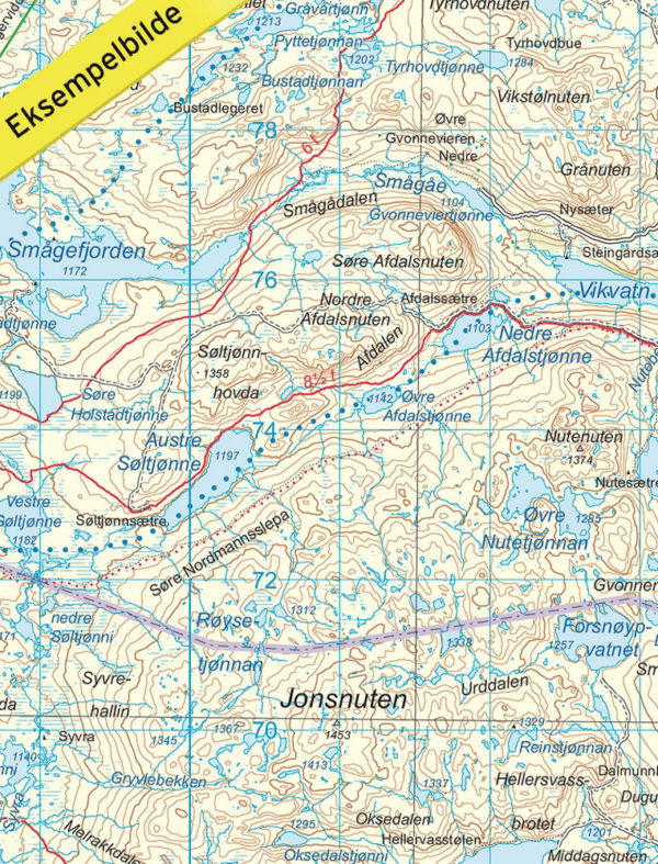 Hardangervidda øst - Turkart - Lnr 2556