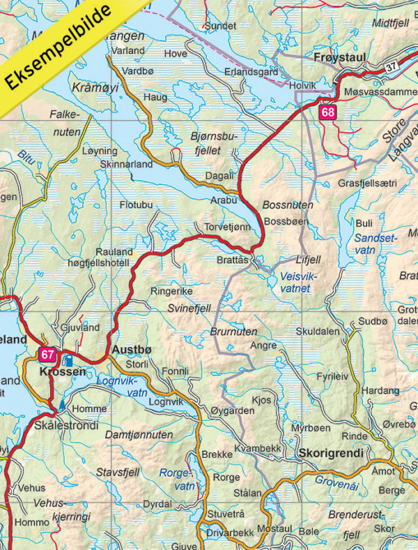 Opplevelsesguide Hardangervidda - 1:250 000, Lnr 6008