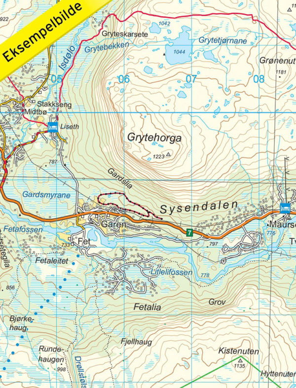 Hardangervidda - Topo3000- Lnr 3006