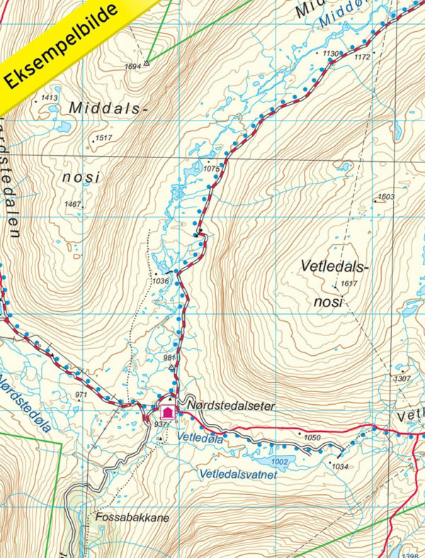 Breheimen - Topo3000- Lnr 3011