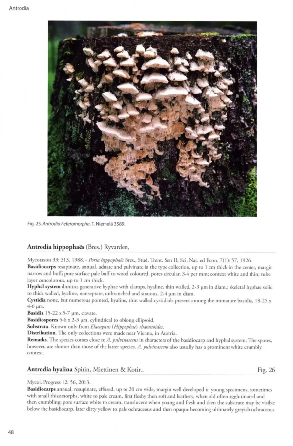 Poroid Fungi of Europe