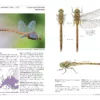 Field Guide to Dragonflies of Great Britain and Europe