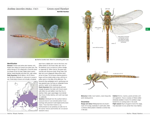 Field Guide to Dragonflies of Great Britain and Europe