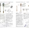 Field Guide to Dragonflies of Great Britain and Europe