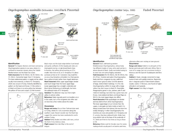 Field Guide to Dragonflies of Great Britain and Europe