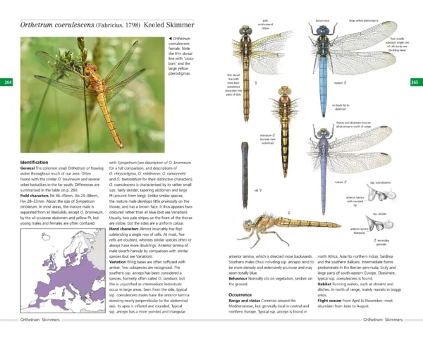 Field Guide to Dragonflies of Great Britain and Europe