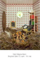 Blåmeis m/unger - Piip-show - Plakat med fugler