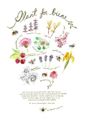 Plant for biene - SABIMAs plakat med bievennlige vekster