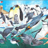 Puslespill - Pingviner - FH7