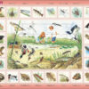 Puslespill - Naturopplevelser i dammen - NA 3