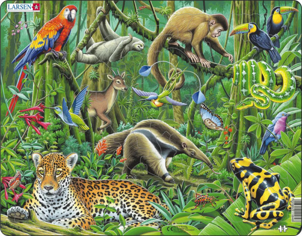 Puslespill - Sør-Amerikas regnskog m/dyr - FH10