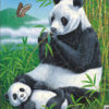 Puslespill - Panda - D5