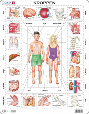 Puslespill - Kroppen - OB 1