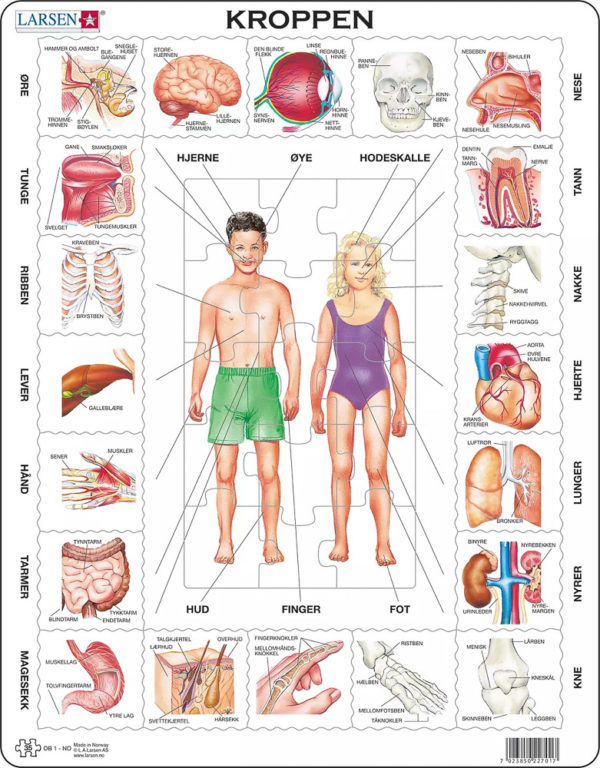 Puslespill - Kroppen - OB 1