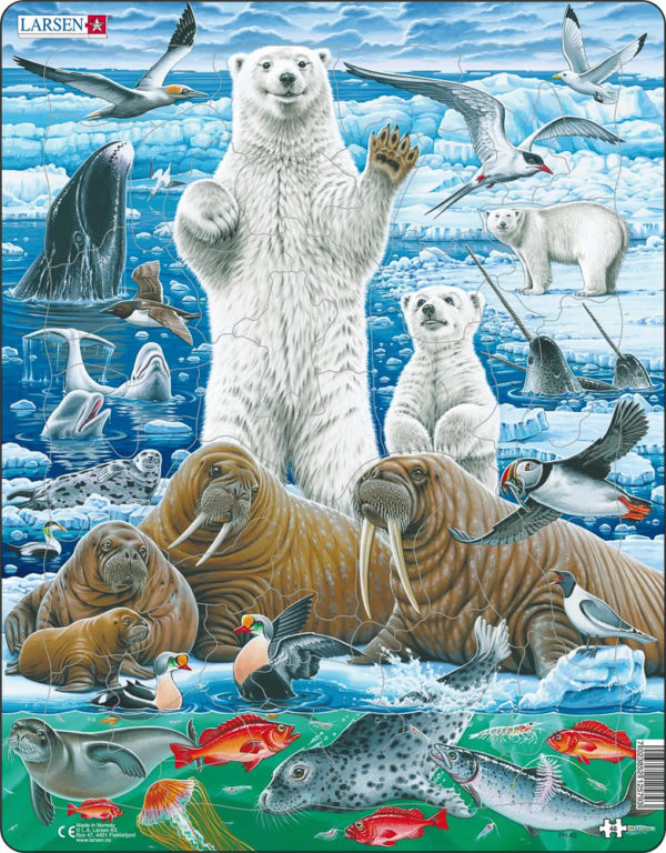 Puslespill - Isbjørn og hvalross på den arktiske pakkisen - FH42
