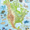 Puslespill - Nord-Amerika, kart med dyr - A32