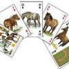 Hester - Horses & Ponnies of the World - Kortstokk med motiv av hester