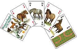 Hester - Horses & Ponnies of the World - Kortstokk med motiv av hester