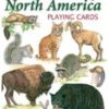 Nord-Amerikanske dyr - Animals of North America - Kortstokk med motiv av amerikanske dyr.