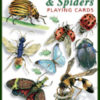 Insekter og edderkopper - Kortstokk med insekt og edderkopp motiver