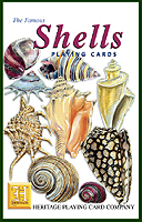 Skjell og konkylier - Shells - Kortstokk med motiv av skjell og konkylier