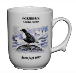 Fossekall krus - Årets fugl 1997