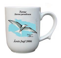 Terne krus - Årets fugl 2006