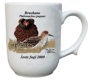 Brushane krus - Årets fugl 2009
