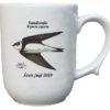 Sandsvale krus - Årets fugl 2010