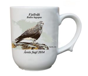 Fjellvåk krus - Årets fugl 2014