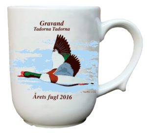 Gravand krus - Årets fugl 2016