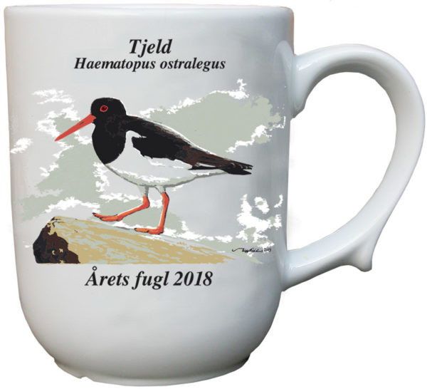 Tjeld krus - Årets fugl 2018