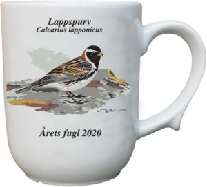 Lappspurv krus - Årets fugl 2020