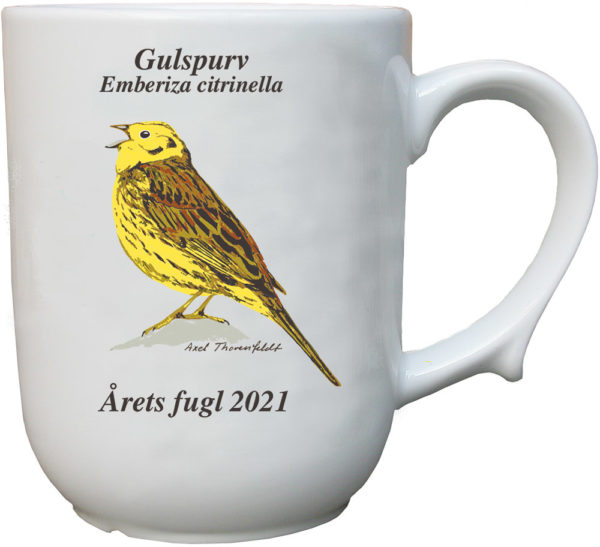 Gulspurv krus - Årets fugl 2021