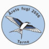 Terne pin - Årets fugl 2006